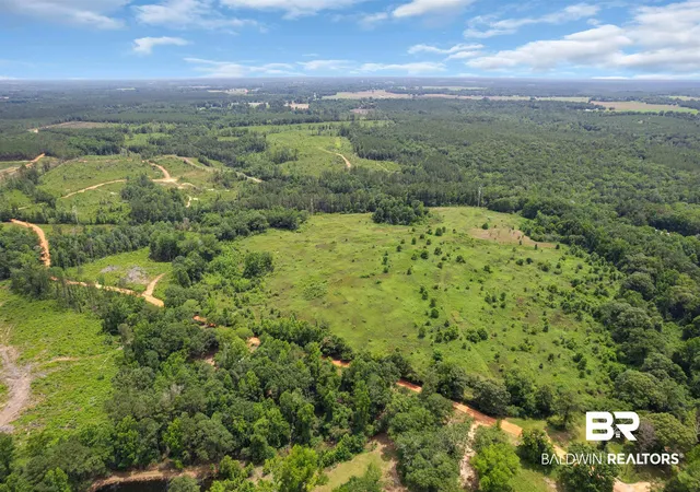 Photo 3 of Land for sale at 0 Barton Rd, Monroeville, AL 36460 | MLS# 397885 | Listing updated on 2026-07-24