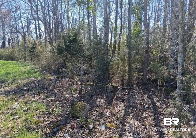 2nd image of 0 Sunset Dr, Atmore, AL 36502 | MLS# 392648