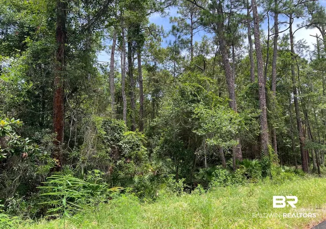 Photo 1 of Land for sale at 0 Galloway Ln, Gulf Shores, AL 36542 | MLS# 399585 | Listing updated on 2026-09-07