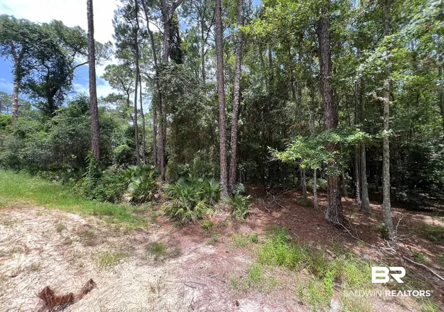 Photo 3 of Land for sale at 0 Galloway Ln, Gulf Shores, AL 36542 | MLS# 399585 | Listing updated on 2026-09-07