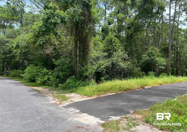 Photo 3 of Land for sale at 0 Galloway Ln, Gulf Shores, AL 36542 | MLS# 399585 | Listing updated on 2026-09-07
