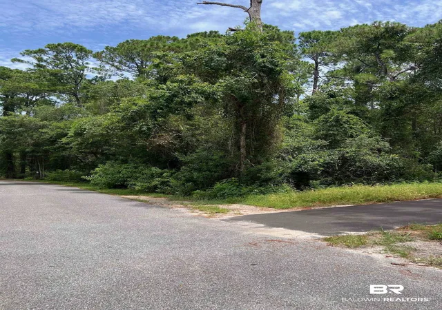 Photo 4 of Land for sale at 0 Galloway Ln, Gulf Shores, AL 36542 | MLS# 399585 | Listing updated on 2026-09-07