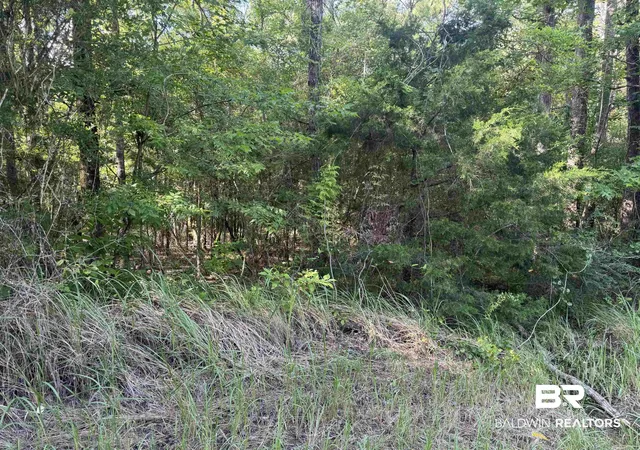 Photo 1 of Land for sale at 0 Rice Crk Rd, Stockton, AL 36579 | MLS# 399568 | Listing updated on 2026-07-28