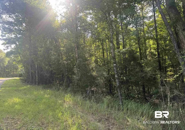 Photo 2 of Land for sale at 0 Rice Crk Rd, Stockton, AL 36579 | MLS# 399568 | Listing updated on 2026-07-28