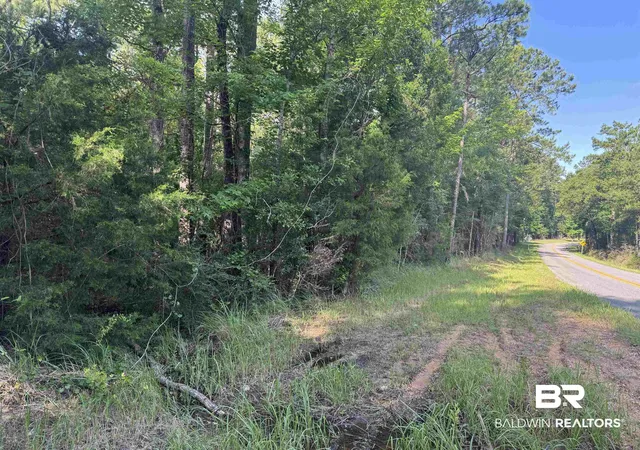 Photo 3 of Land for sale at 0 Rice Crk Rd, Stockton, AL 36579 | MLS# 399568 | Listing updated on 2026-07-28