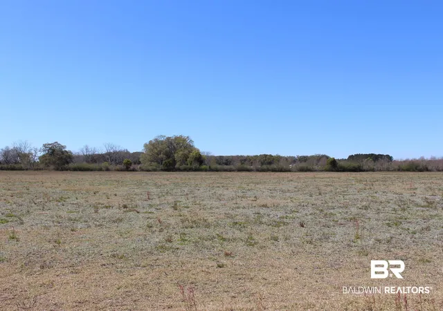 2nd image of 00 County Rd 38, Summerdale, AL 36580 | MLS# 378564