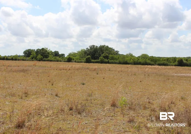 4th image of 00 County Rd 38, Summerdale, AL 36580 | MLS# 378564