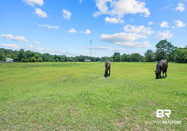 Photo 3 of Sale Pending at 6123 Ranch Rd, Grand Bay, AL 36541 | MLS# 398147 | Listing updated on 2026-08-05