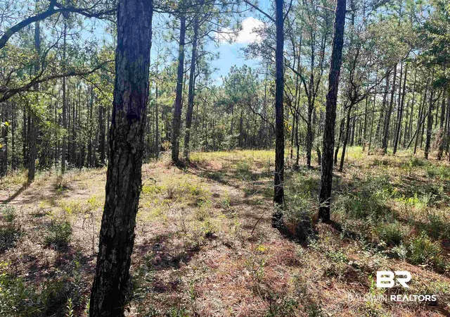Photo 2 of Land for sale at 0 State Hwy 225, Bay Minette, AL 36507 | MLS# 387680 | Listing updated on 2026-07-28