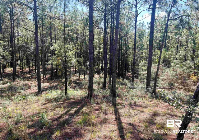 Photo 3 of Land for sale at 0 State Hwy 225, Bay Minette, AL 36507 | MLS# 387680 | Listing updated on 2026-07-28