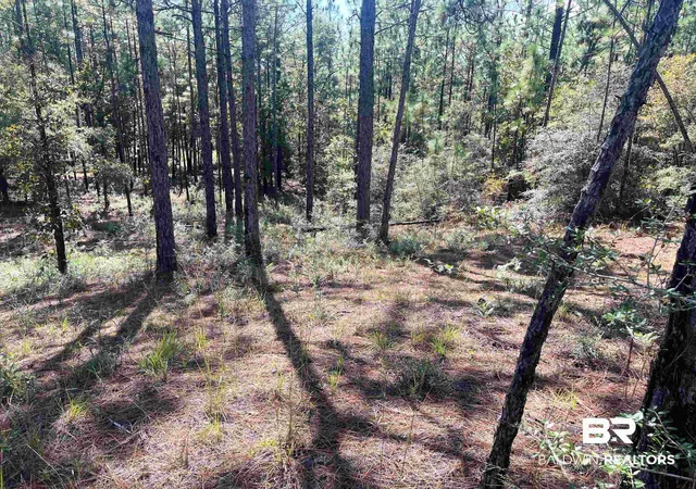 Photo 4 of Land for sale at 0 State Hwy 225, Bay Minette, AL 36507 | MLS# 387680 | Listing updated on 2026-07-28