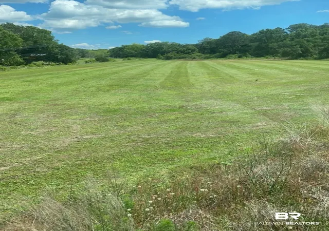 Photo 3 of Land for sale at 0 Highway 59, Robertsdale, AL 36567 | MLS# 377172 | Listing updated on 2026-08-02
