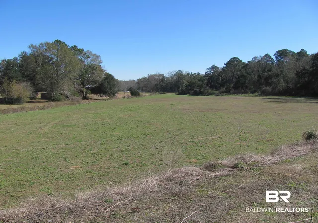 Photo 3 of Land for sale at 0 Highway 59, Robertsdale, AL 36567 | MLS# 377172 | Listing updated on 2026-08-02