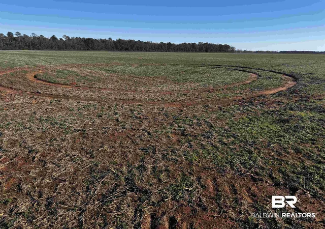 26th image of 000 Wiggins Rd, Frisco City, AL 36445 | MLS# 389468