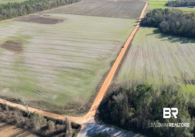 2nd image of 000 Wiggins Rd, Frisco City, AL 36445 | MLS# 389468