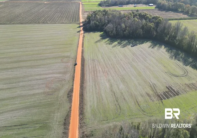 Photo 4 of Sale Pending at 000 Wiggins Rd, Frisco City, AL 36445 | MLS# 389468 | Listing updated on 2026-09-29