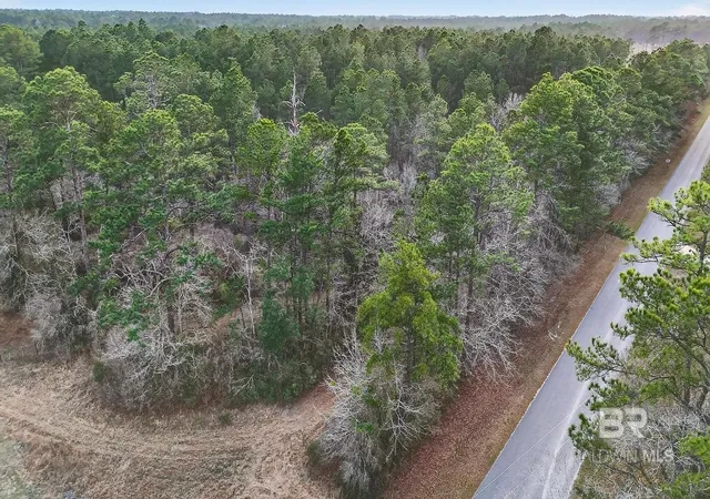 Homes for sale in Coden, AL | 0 Hemley Road, Coden, AL 36523 | MLS# 399053