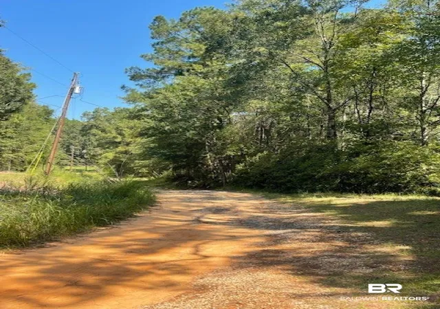 1st image of 0 Mims Rd, Chunchula, AL 36521 | MLS# 386405