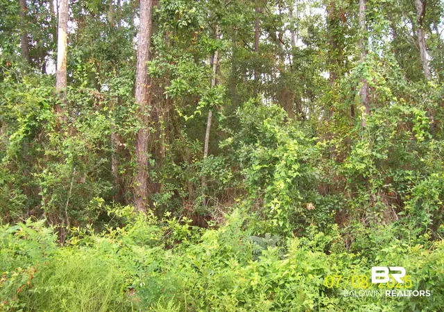 Photo 5 of Land for sale at 0 Canal Cir, Fairhope, AL 36532 | MLS# 399161 | Listing updated on 2026-07-28