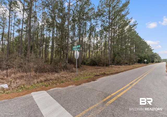 Land for sale at Lot #8 Bermuda Ln, Seminole, AL 36574 | MLS# 407016