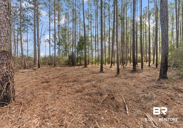 Photo 1 of Land for sale at Lot #8 Bermuda Ln, Seminole, AL 36574 | MLS# 407016 | Listing updated on 2026-08-10