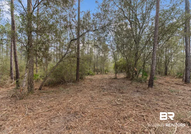 Photo 2 of Land for sale at Lot #8 Bermuda Ln, Seminole, AL 36574 | MLS# 407016 | Listing updated on 2026-08-10