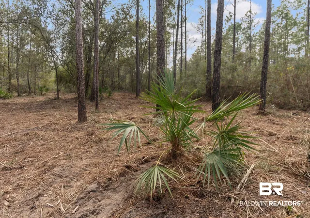 Photo 3 of Land for sale at Lot #8 Bermuda Ln, Seminole, AL 36574 | MLS# 407016 | Listing updated on 2026-08-10