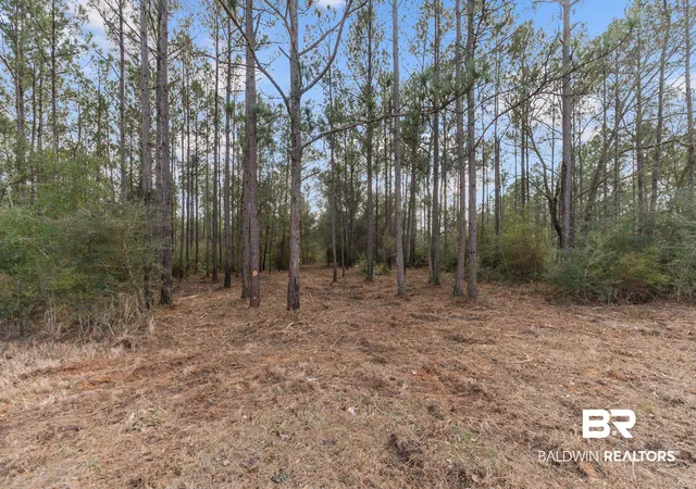 Photo 4 of Land for sale at Lot #8 Bermuda Ln, Seminole, AL 36574 | MLS# 407016 | Listing updated on 2026-08-10