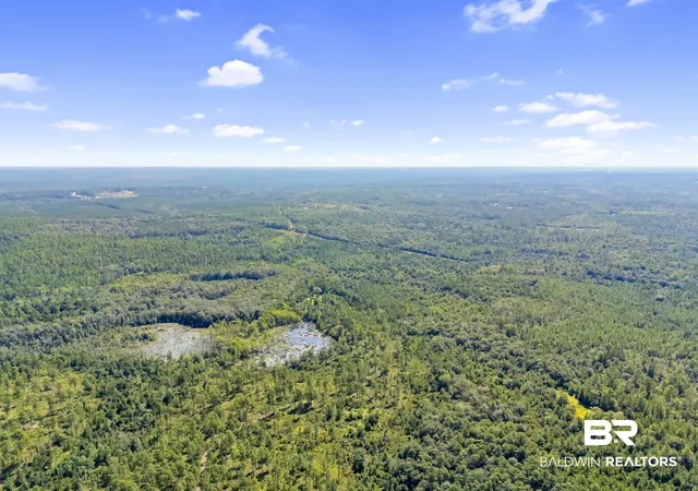 18th image of 0 Arden Rd, Chunchula, AL 36521 | MLS# 386281