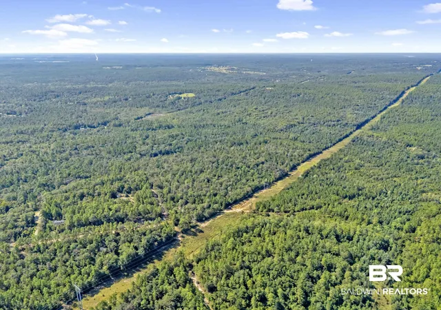 Photo 3 of Land for sale at 0 Arden Rd, Chunchula, AL 36521 | MLS# 386281 | Listing updated on 2026-10-05