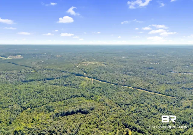 Photo 3 of Land for sale at 0 Arden Rd, Chunchula, AL 36521 | MLS# 386281 | Listing updated on 2026-10-05