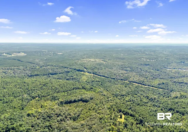 Photo 4 of Land for sale at 0 Arden Rd, Chunchula, AL 36521 | MLS# 386281 | Listing updated on 2026-10-05