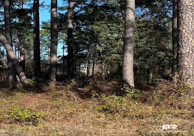 Photo 2 of Land for sale at 16th E A Ave, Gulf Shores, AL 36542 | MLS# 379535 | Listing updated on 2026-09-02