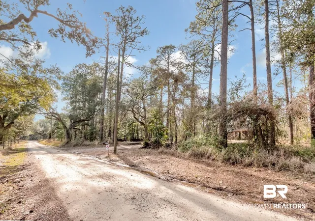 Photo 1 of Land for sale at 5250 Lossing Rd, Coden, AL 36523 | MLS# 394925 | Listing updated on 2026-08-02