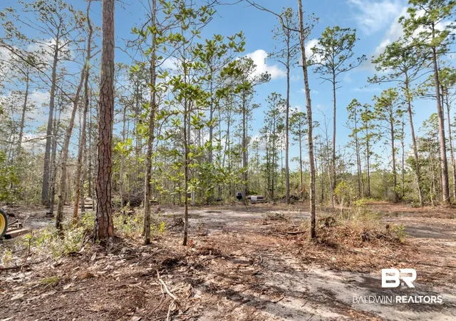Photo 2 of Land for sale at 5250 Lossing Rd, Coden, AL 36523 | MLS# 394925 | Listing updated on 2026-08-02