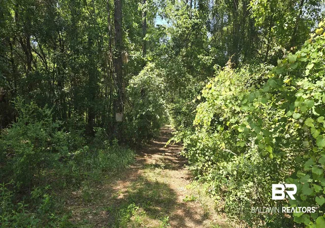 Photo 1 of Land for sale at 0 Toler Rd, Silverhill, AL 36576 | MLS# 396571 | Listing updated on 2026-09-15