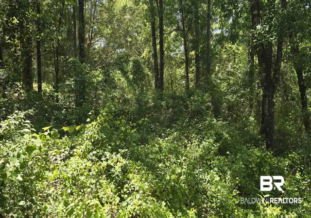 Photo 3 of Land for sale at 0 Toler Rd, Silverhill, AL 36576 | MLS# 396571 | Listing updated on 2026-09-15