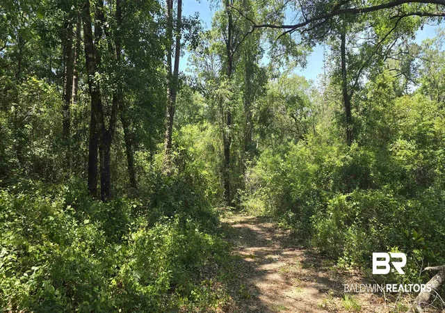 Photo 3 of Land for sale at 0 Toler Rd, Silverhill, AL 36576 | MLS# 396571 | Listing updated on 2026-09-15