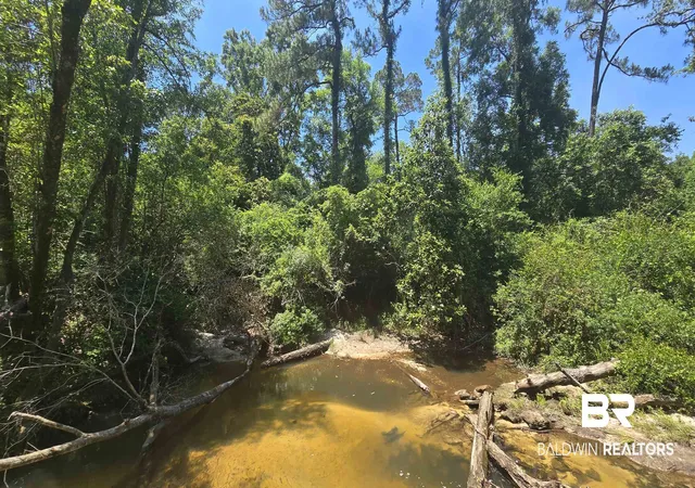 Photo 4 of Land for sale at 0 Toler Rd, Silverhill, AL 36576 | MLS# 396571 | Listing updated on 2026-09-15