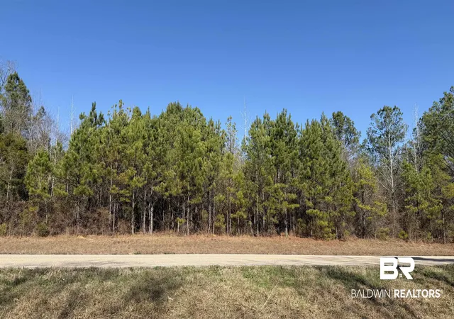 1st image of 0 Alabama Hwy 47, Beatrice, AL 36425 | MLS# 394893