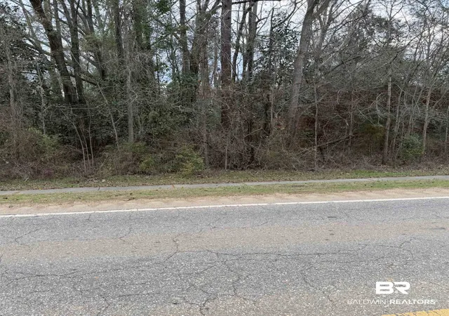 2nd image of 0 Alabama Hwy 47, Beatrice, AL 36425 | MLS# 394893