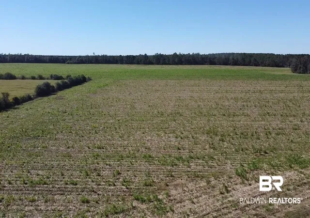 Photo 1 of Land for sale at 5600 Block Hwy 97, Mc David, FL 32568 | MLS# 387760 | Listing updated on 2026-10-13