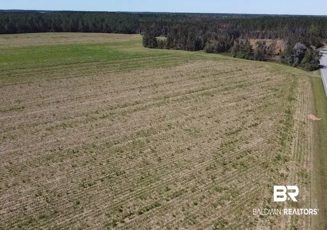Photo 2 of Land for sale at 5600 Block Hwy 97, Mc David, FL 32568 | MLS# 387760 | Listing updated on 2026-10-13