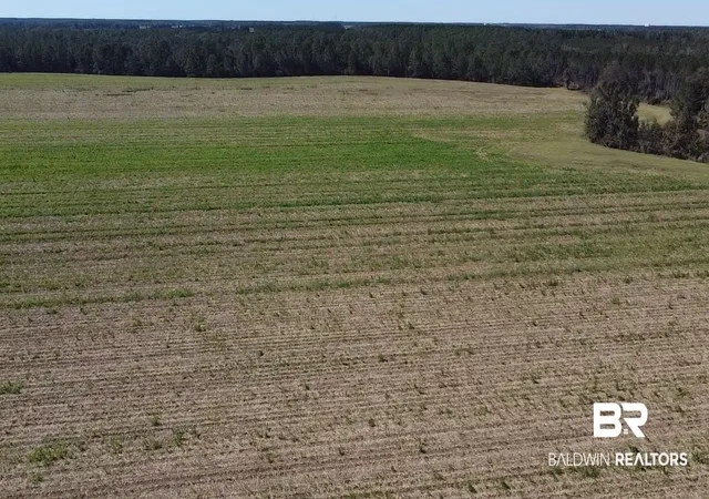 Photo 3 of Land for sale at 5600 Block Hwy 97, Mc David, FL 32568 | MLS# 387760 | Listing updated on 2026-10-13