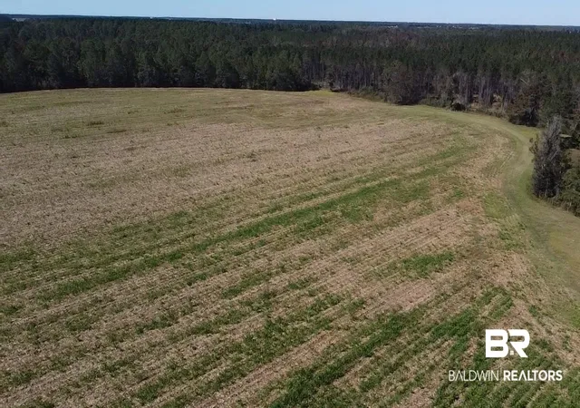 Photo 4 of Land for sale at 5600 Block Hwy 97, Mc David, FL 32568 | MLS# 387760 | Listing updated on 2026-10-13