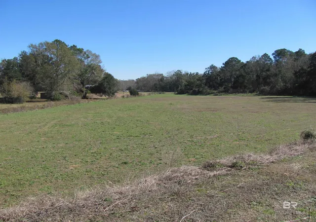 Homes for sale in Robertsdale, AL | 0 Hwy 59, Robertsdale, AL 36567 | MLS# 377172