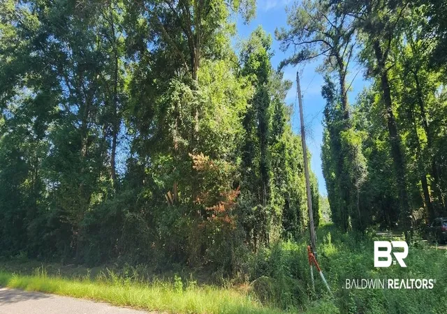 Photo 1 of Land for sale at 0 Smith Rd, Stockton, AL 36579 | MLS# 382269 | Listing updated on 2026-07-30
