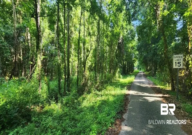 Photo 3 of Land for sale at 0 Smith Rd, Stockton, AL 36579 | MLS# 382269 | Listing updated on 2026-07-30