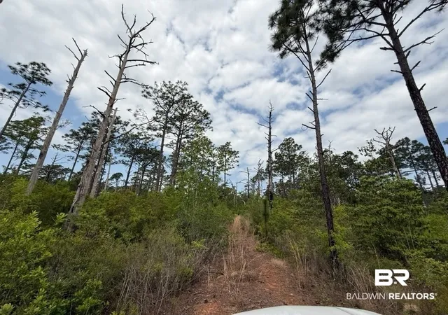 Land for sale at 6589-2 Aegean Dr, Milton, FL 32583 | MLS# 408996
