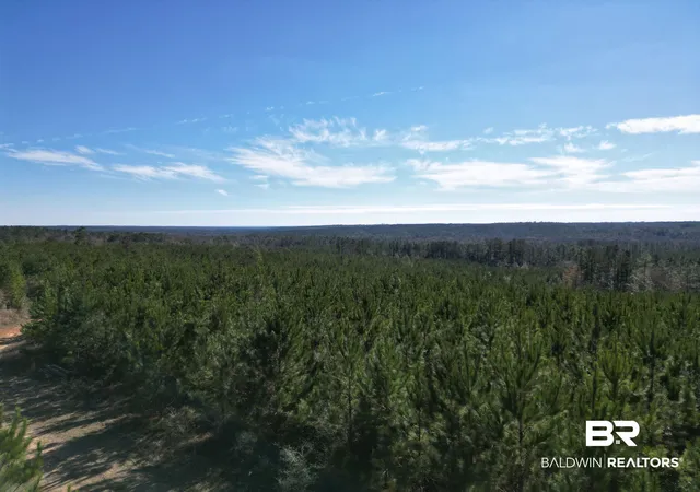 Photo 18 of Land for sale at 01 Robinsonville Rd, Atmore, AL 36502 | MLS# 372398 | Listing updated on 2026-08-02